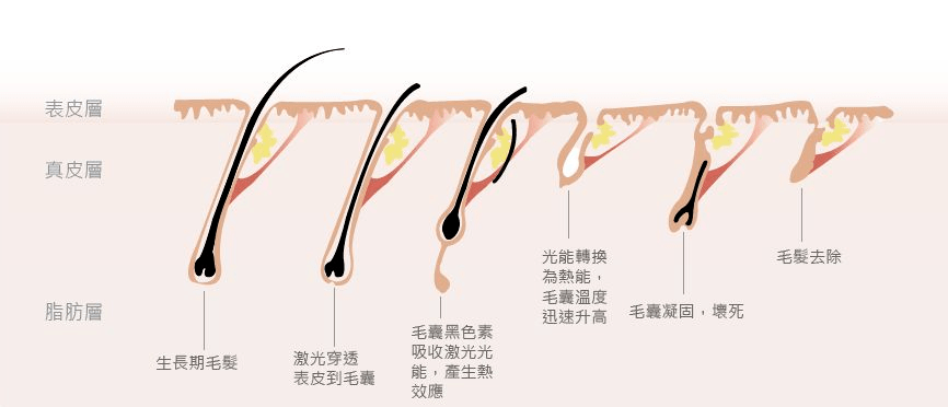 3分钟讲解！麻将机程控器怎么才能找到,推荐8个购买渠道