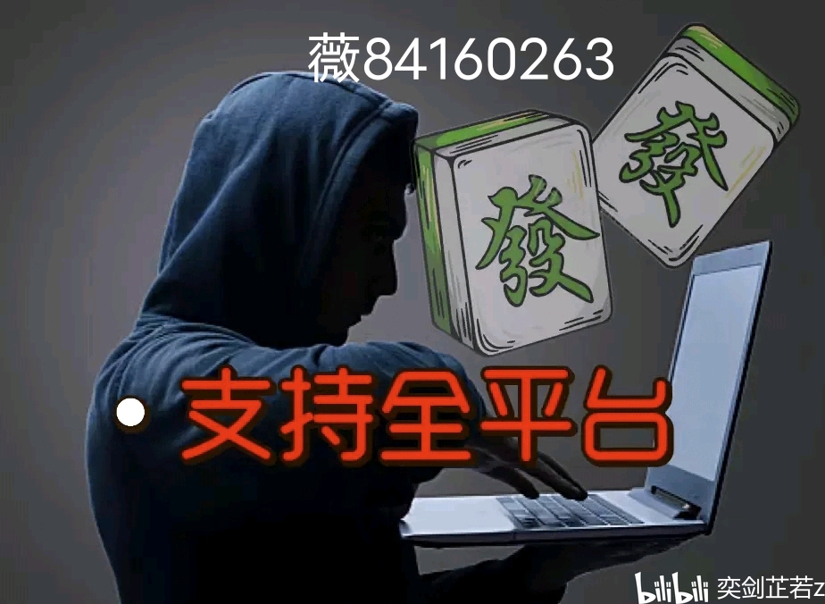 我来教教大家“哈灵麻将谁用过的挂-哔哩哔哩 