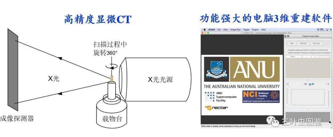 今日重大通报！普通扑克牌扫描仪什么原理,推荐6个购买渠道