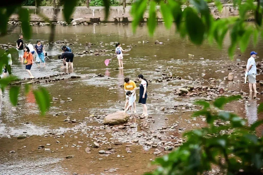 成都麻将什么叫擦挂（打麻将什么是擦挂）