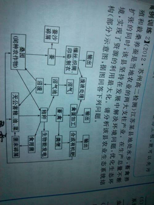 必备教程！兴动麻将系统规律(为啥我总是输)