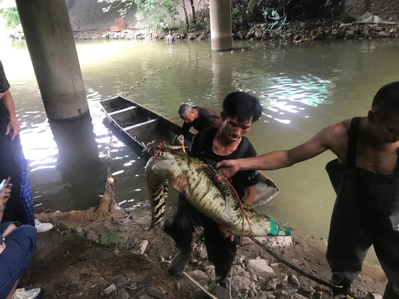 捕鱼漏洞是什么（网络捕鱼技巧如何找漏洞）