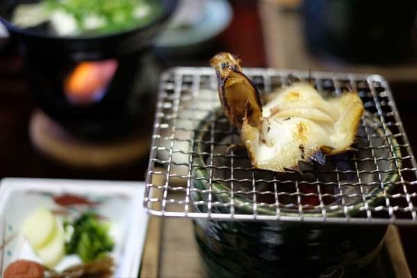 淡水鱼饵料怎么挂（成品鱼饵料怎么挂）