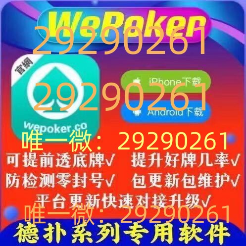 实测通wpk作弊软件教程开挂神器免费下载