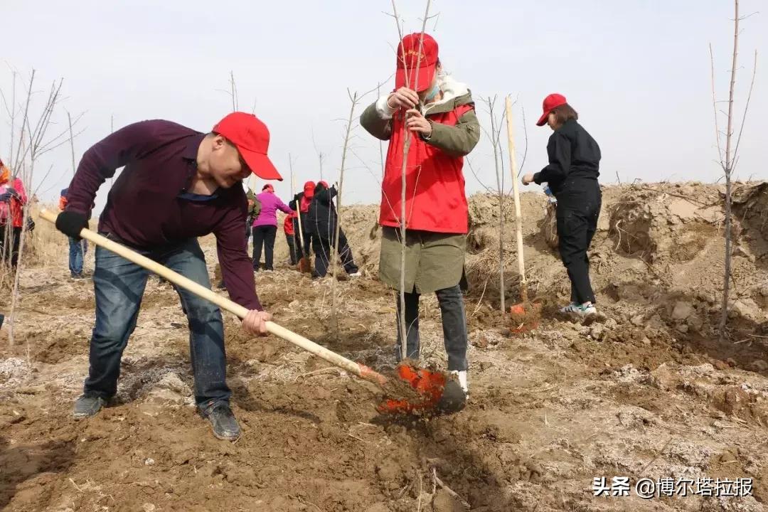 博乐填坑有挂吗?（博乐填坑下载 最新版）