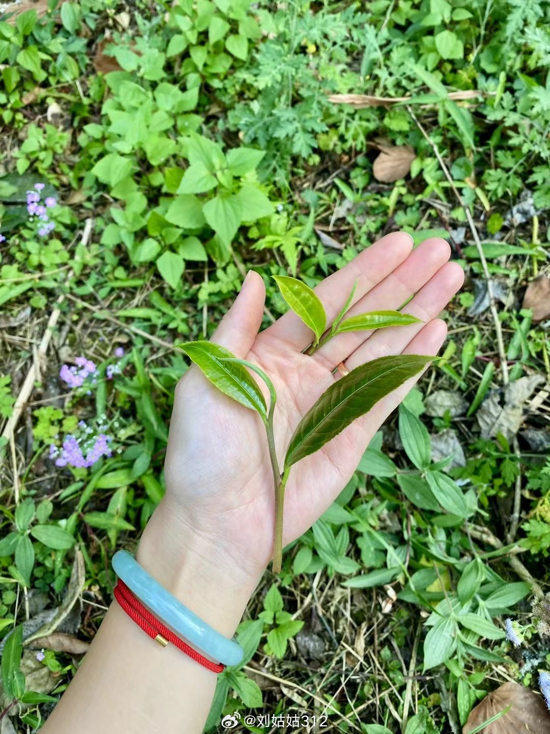 3分钟教你科普“新宝5有没有挂(确实有挂)-知乎