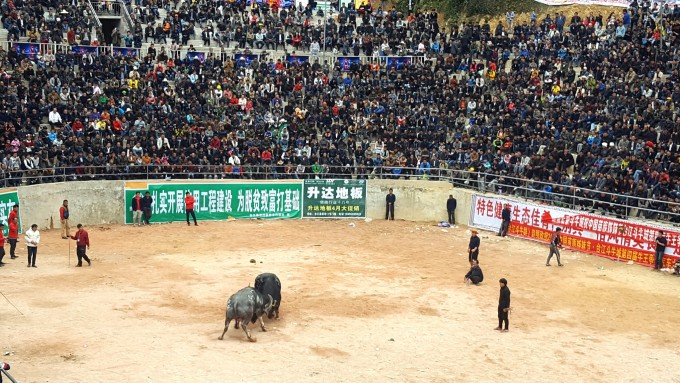 三分钟了解&quot;人海大厅斗牛开挂神器-哔哩哔哩 