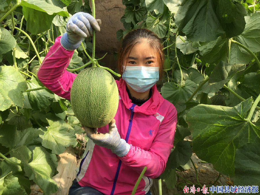 (重磅.揭秘)“新蜜瓜大厅有开挂软件吗!”开挂详细教程