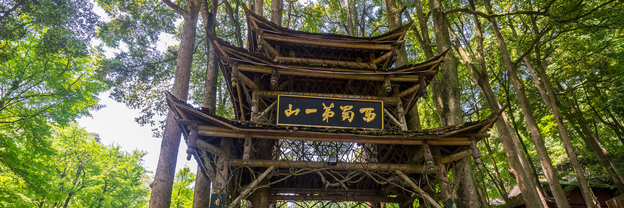 3分钟教你科普“蜀山四川麻将有收费挂吗”(确实是有挂)-哔哩哔哩