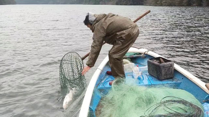 捕鱼加工挂子（捕鱼加工挂子视频）