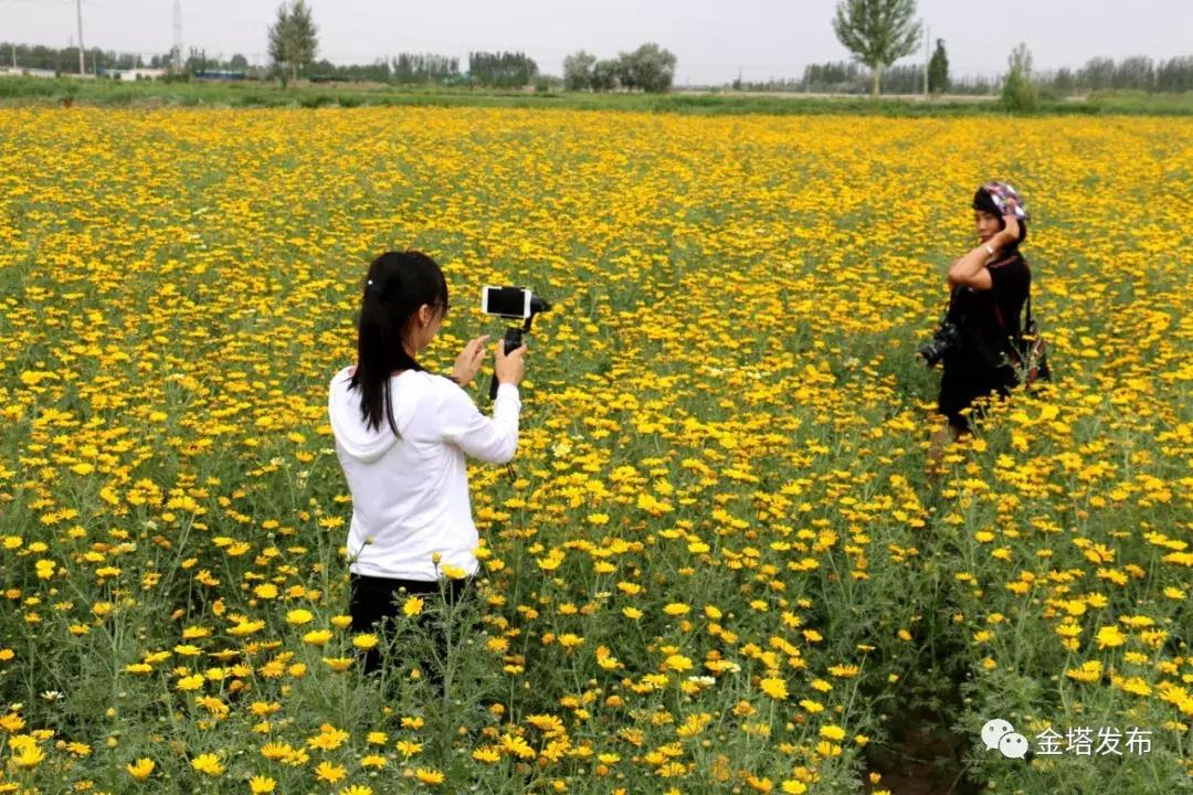 微信金花群开挂（微信开金花群抓住了要关多久）