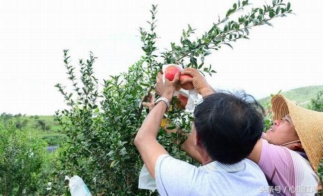 扑克牌硬挂软挂（扑克牌摆挂）