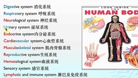 (2分钟介绍)“天天贵阳麻将开挂专用版-哔哩哔哩 